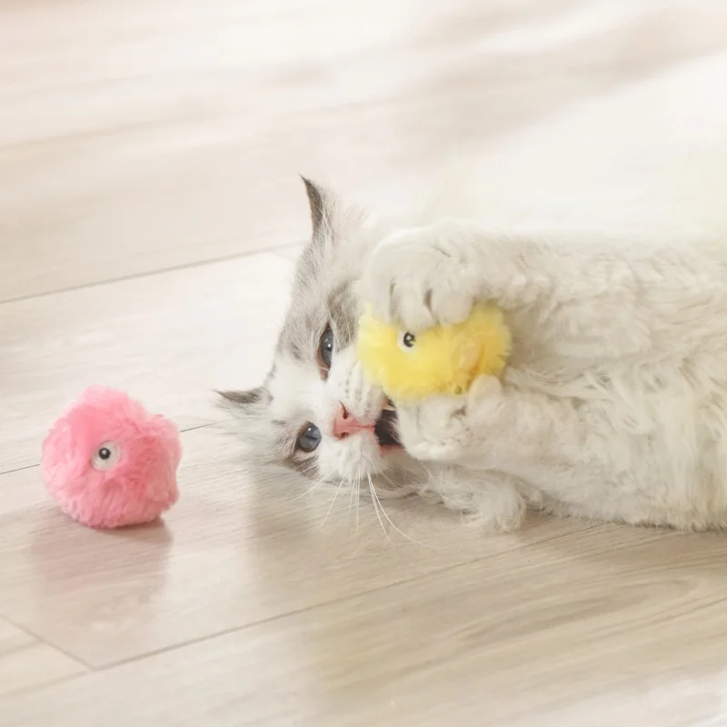 Cat playing happily with the sound ball