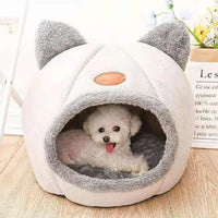 All-Things-Cat Pack: 3 Balls + Comb + Bed — photo 7