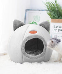 All-Things-Cat Pack: 3 Balls + Comb + Bed — photo 8